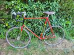 Raleigh Rapide, Team-uitvoering, 65 cm, 28 inch, Gebruikt, 10 tot 15 versnellingen, 65 cm of meer