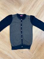 Super leuk Lebig vest maat 146/152, Kinderen en Baby's, Kinderkleding | Maat 146, Meisje, Trui of Vest, Lebig, Ophalen of Verzenden