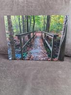 Canvas schilderij bos (ophalen), Ophalen, Zo goed als nieuw