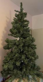 Gratis kerstboom, Diversen, Kerst, Ophalen, Gebruikt