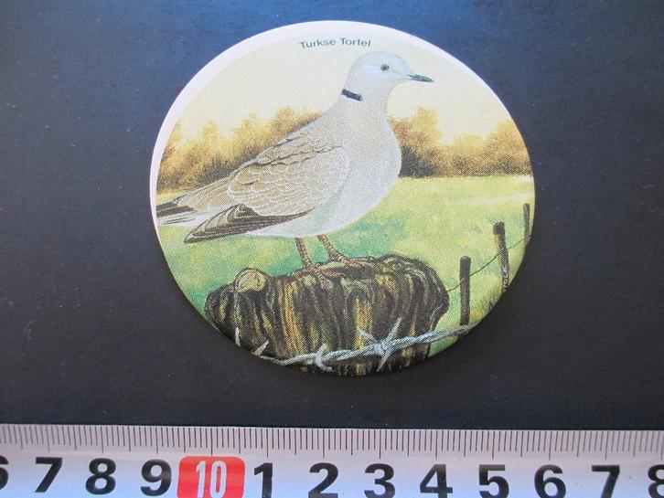 sticker statisch vogel duif turkse tortel, Verzamelen, Stickers, Zo goed als nieuw, Ophalen
