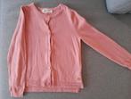 Roze vestje H&M maat 116, Meisje, Trui of Vest, H&M, Ophalen of Verzenden