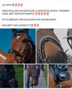 Let op gestolen!!, Ophalen of Verzenden, Zo goed als nieuw, Overige soorten