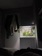 EHEIM Vivaline 150 wit, Dieren en Toebehoren, Vissen | Aquaria en Toebehoren, Ophalen, Zo goed als nieuw, Filter of Co2