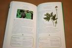Kruiden. Alle informatie voor de liefhebber., Boeken, Gezondheid, Dieet en Voeding, Ophalen of Verzenden, Zo goed als nieuw, Kruiden en Alternatief