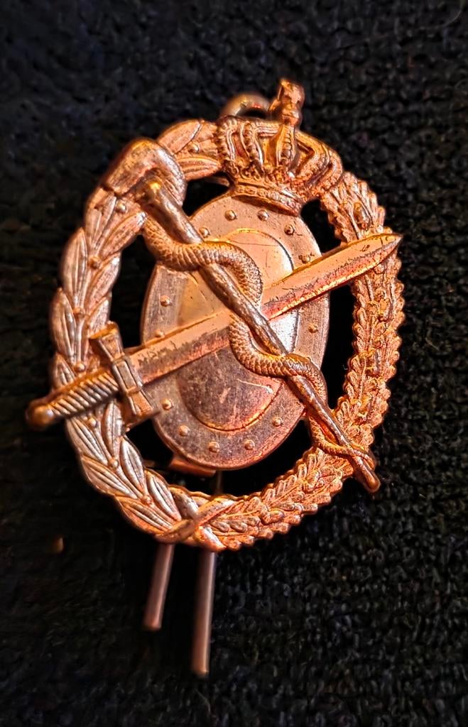 Schouder embleem, Ophalen of Verzenden, Gebruikt, Overige onderwerpen, Speldje of Pin