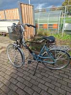 Batavus damesfiets met mand, Ophalen, Versnellingen, Gazelle, 53 tot 56 cm