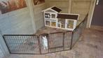 2 voedsters met hok en alle toebehoren, Vrouwelijk, Klein, Hangoor, 0 tot 2 jaar