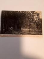 Leek, Nienoord gezicht op burcht en poort. rondstempel Leek, Verzenden, Voor 1920, Gelopen, Groningen