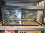 Aquarium 80x30x35, Dieren en Toebehoren, Vissen | Aquaria en Toebehoren, Ophalen, Gebruikt, Leeg aquarium