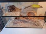 Terrarium voor hamster, Dieren en Toebehoren, Minder dan 75 cm, Ophalen, Minder dan 60 cm, Hok