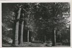 Amersfoort  Boslaan Nimmerdor, Verzenden, 1940 tot 1960, Ongelopen, Utrecht
