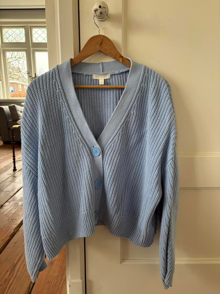 Lichtblauw vest, Ophalen of Verzenden, Gedragen, Maat 38/40 (M), Blauw