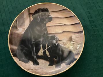 Labrador Canadees Nederlandse Vereniging Bord beschikbaar voor biedingen