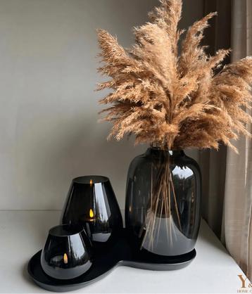 Prachtige kidney tray, organische vorm dienblad  beschikbaar voor biedingen