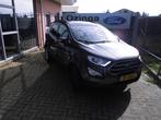 Ford EcoSport 125pk EcoBoost Trend Ultimate navi-cruise-pdc-, Auto's, Ford, Te koop, Zilver of Grijs, Geïmporteerd, 5 stoelen