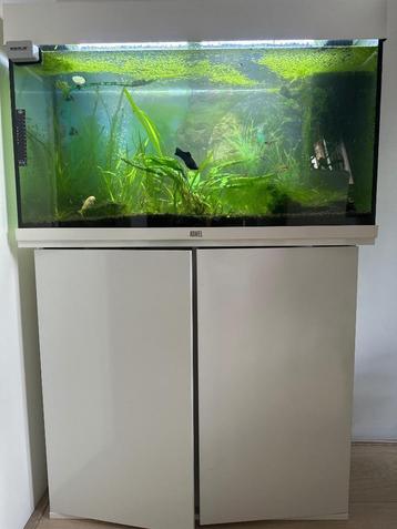 Juwel Aquarium met witte kast + complete uitrusting beschikbaar voor biedingen