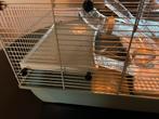 Mooie hamsterkooi maar 2 mnd oud, Dieren en Toebehoren, Knaagdieren en Konijnen | Hokken en Kooien, Minder dan 60 cm, Kooi, Minder dan 75 cm
