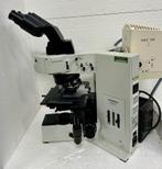 Olympus BX 60 microscoop Doorvallend en Fluorescentie, Ophalen of Verzenden, Gebruikt, 400x tot 1000x, Biologische microscoop