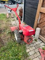 Tuinfrees Antonio Carraro- Benzine, Ophalen, Gebruikt