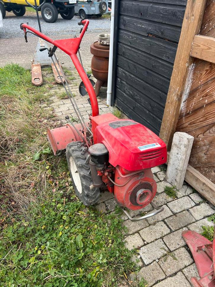 Tuinfrees Antonio Carraro- Benzine, Tuin en Terras, Overige Tuin en Terras, Gebruikt, Ophalen