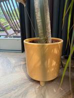 Bloempot retro vintage, Rond, Ophalen of Verzenden, Zo goed als nieuw, Minder dan 25 cm
