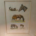 J.Rivet antieke Lithografie Paarden gesigneerd, Ophalen of Verzenden