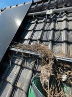 Last van vogelnesten onder uw panelen? Vogelborstels, Ophalen of Verzenden, Nieuw
