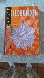 Liedbundel youth for Christ met verscheidene tekeningen., Boeken, Ophalen, Gelezen