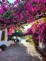 Algarve - Casa Ferrobo - Portugal, Vakantie, Vakantiehuizen | Portugal, Dorp, Groepsaccommodatie, Tuin, Eigenaar