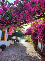 Algarve - Casa Ferrobo - Portugal, Vakantie, Dorp, Groepsaccommodatie, Tuin, Eigenaar