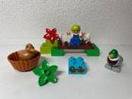 Duplo 10581 Bos Eenden, Kinderen en Baby's, Speelgoed | Duplo en Lego, Ophalen of Verzenden, Gebruikt, Complete set, Duplo