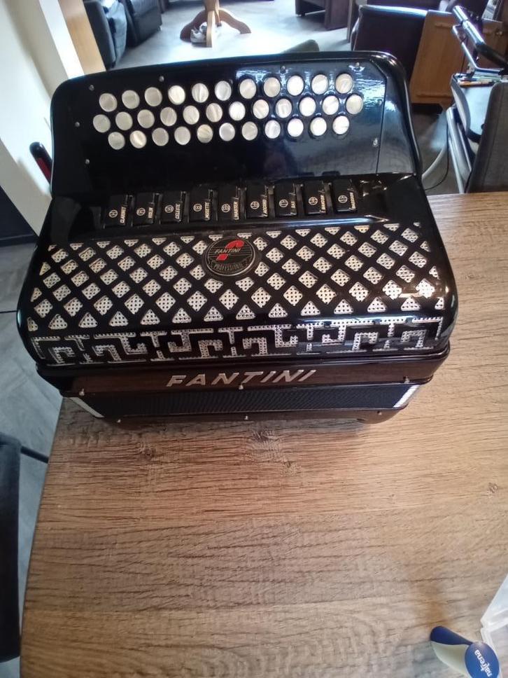 Fantini Harmonica, Muziek en Instrumenten, Accordeons, Gebruikt, Knopaccordeon, Overige formaten, Overige merken, Met koffer, Met riemen