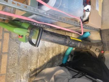 Bladzuiger florabest beschikbaar voor biedingen