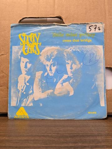 Straycats - Little miss prissy beschikbaar voor biedingen