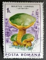 ROEMENIË - paddestoelen 1986, Verzenden, Overige landen, Gestempeld