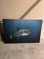 Canvasdoek haai, Huis en Inrichting, Ophalen, Zo goed als nieuw, Schilderij, 100 tot 125 cm
