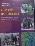 Diergaarde Blijdorp DVD geboorte olifanten, Alle leeftijden, Ophalen, Zo goed als nieuw, Natuur