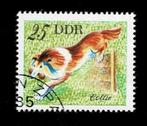 postzegel 1834 DDR hond Collie, Ophalen of Verzenden, DDR, Gestempeld