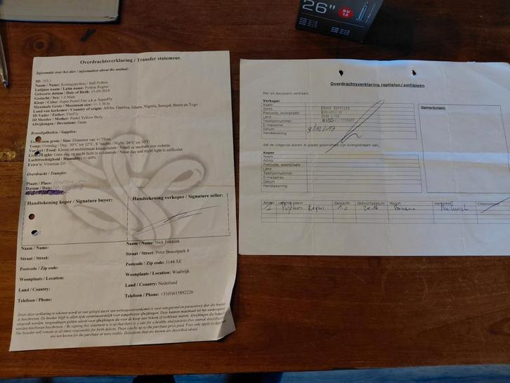 2-1 python regius/koningspython