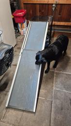 Honden loopplank, Dieren en Toebehoren, Honden-accessoires, Ophalen, Gebruikt
