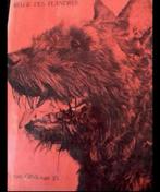 BOUVIER BELGE DES FLANDRES, Verzenden, Gelezen, Honden