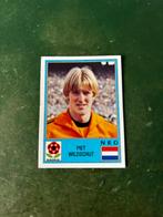 Panini plaatje Piet Wildschut Nederland Euro 80, Ophalen of Verzenden