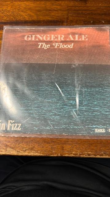 The Flood 7” inch vinyl single Ginger-Ale beschikbaar voor biedingen