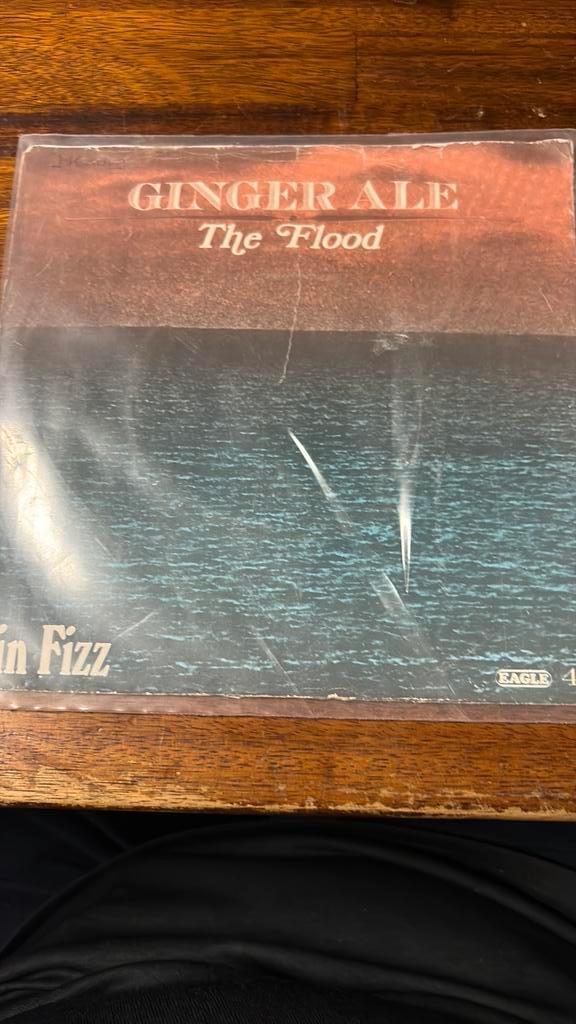 The Flood 7” inch vinyl single Ginger-Ale, Cd's en Dvd's, Vinyl Singles, Zo goed als nieuw, Pop, Ophalen of Verzenden