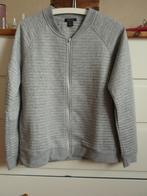 Amisu - grijs sweat vest maat L, Kleding | Dames, Truien en Vesten, Maat 42/44 (L), Ophalen of Verzenden, Zo goed als nieuw, Grijs