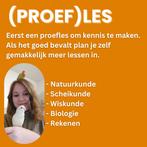 Bijles aan huis/online: oa Wiskunde, Natuurkunde, Scheikunde, Privéles, Bijles