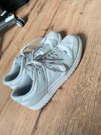 Nike Dunk Low – Grey Fog (DD1391-103), Kleding | Dames, Schoenen, Wit, Ophalen of Verzenden, Sneakers of Gympen, Zo goed als nieuw