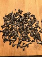 Haaientanden, Verzenden