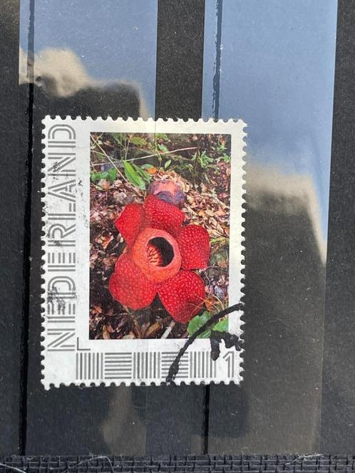 Persoonlijke zegel uit blok Indonesië. Bloem, Postzegels en Munten, Postzegels | Nederland, Gestempeld, Na 1940, Ophalen of Verzenden
